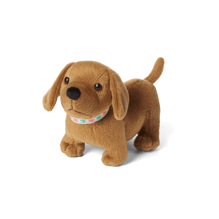 Maryellen’s™ Dog, Scooter (Historical Characters) C4
