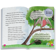The Riddle of the Robin Book (WellieWishers™) K9