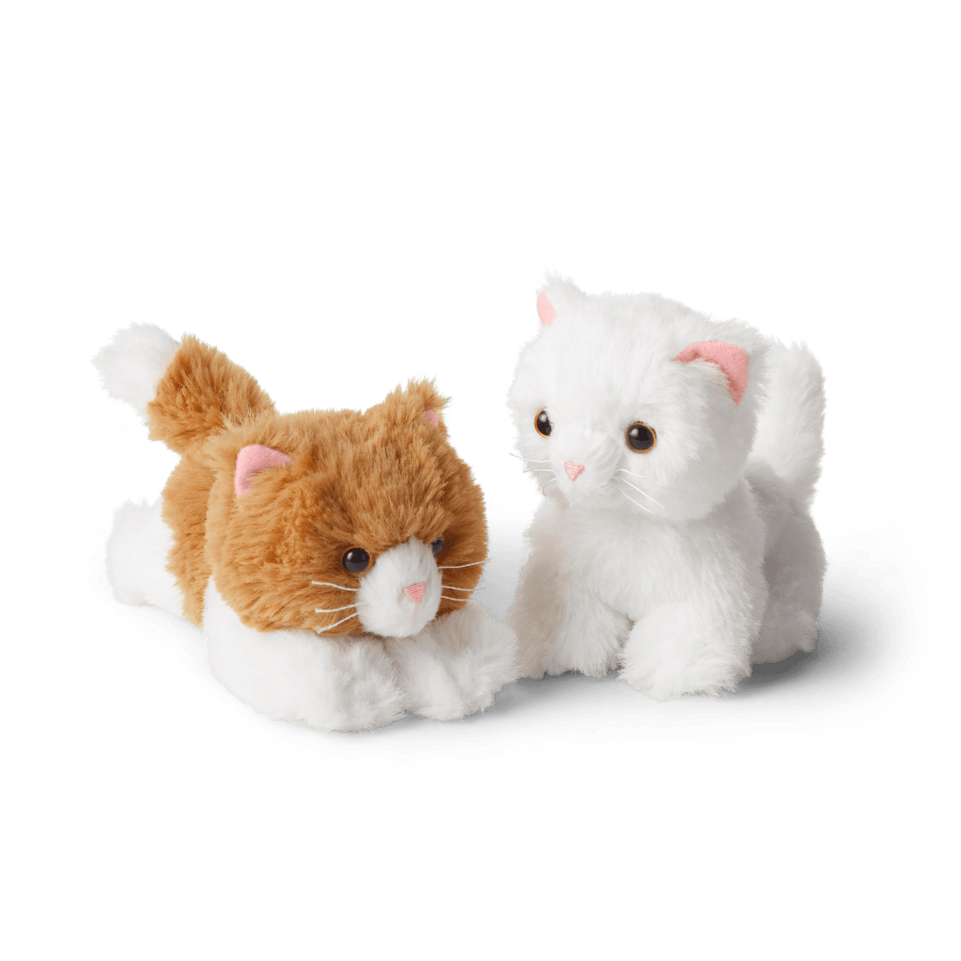 Rebecca’s™ Kittens (Historical Characters) K5
