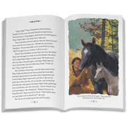 Smoke in the Wind: Kaya Book 2  (Historical Characters) K8