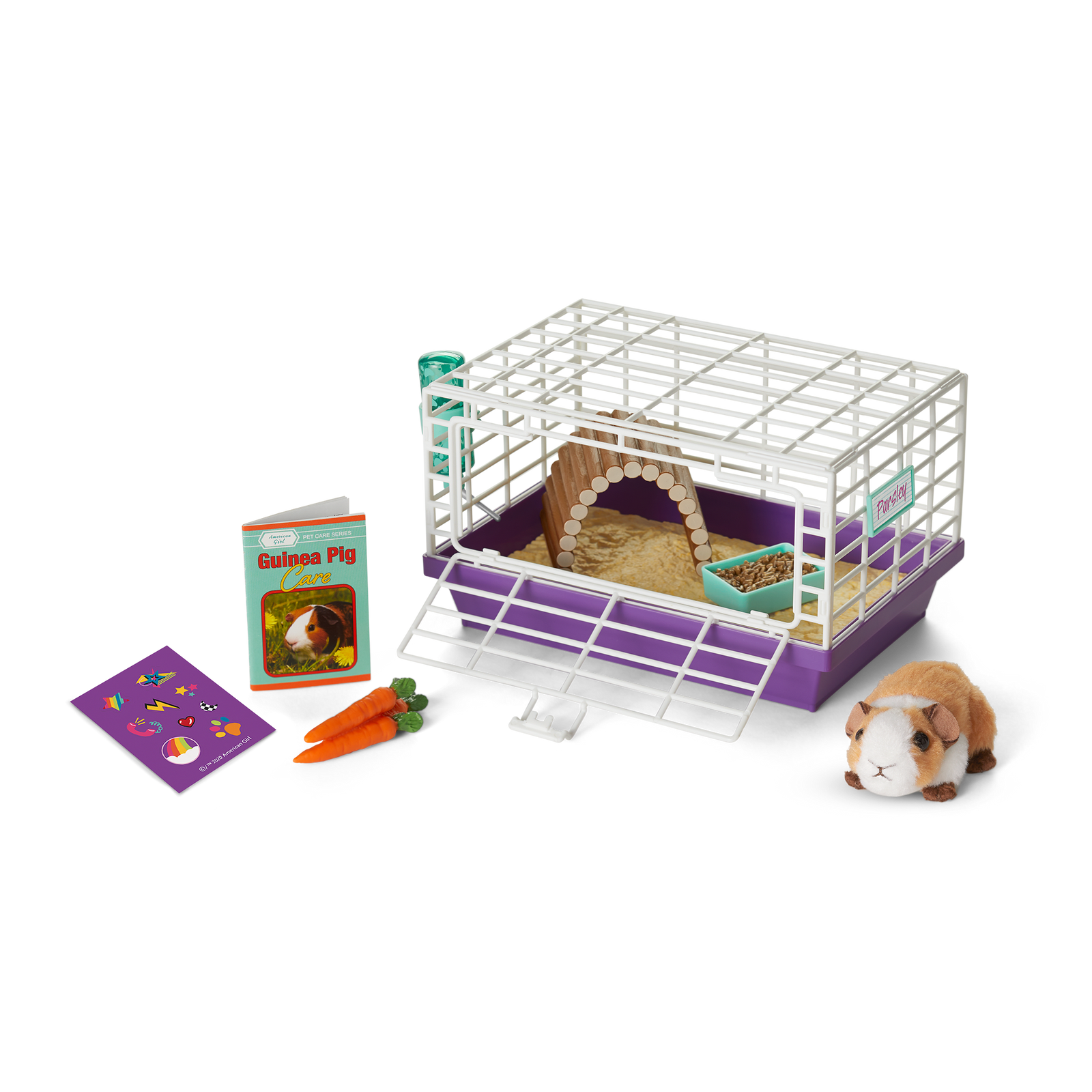 Courtney's™ Guinea Pig (Historical Characters) P3