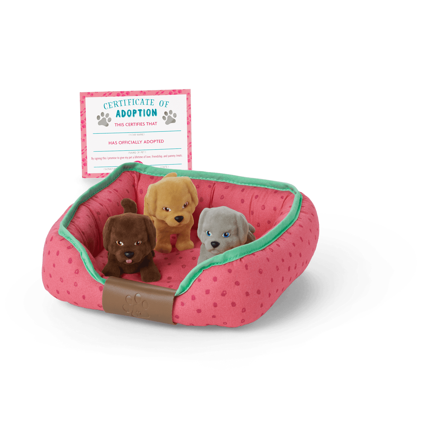 All the Puppies Set S3