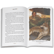 Smoke in the Wind: Kaya Book 2  (Historical Characters) K8